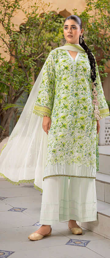 3 Piece Stitched Chikankari Lawn Suit