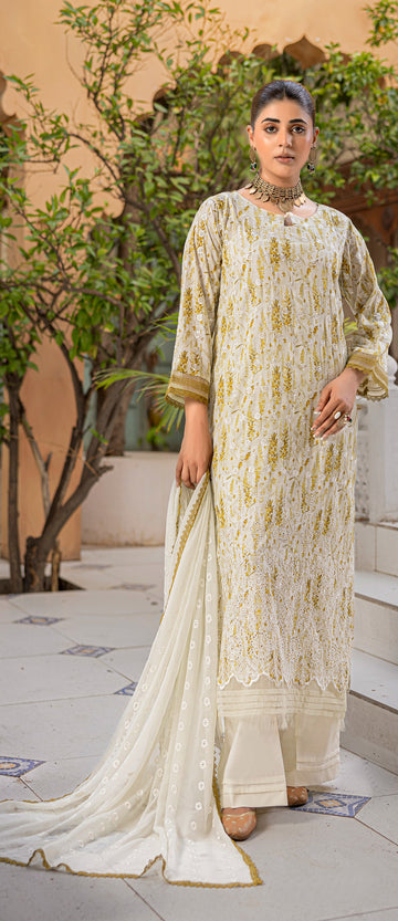 3 Piece Stitched Chikankari Lawn Suit
