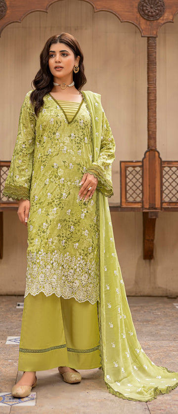 3 Piece Stitched Chikankari Lawn Suit